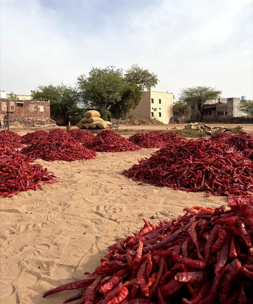 Mathania Red Chilli Powder
